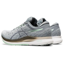 Asics Running Shoes EvoRide (Comfort) Grey Women